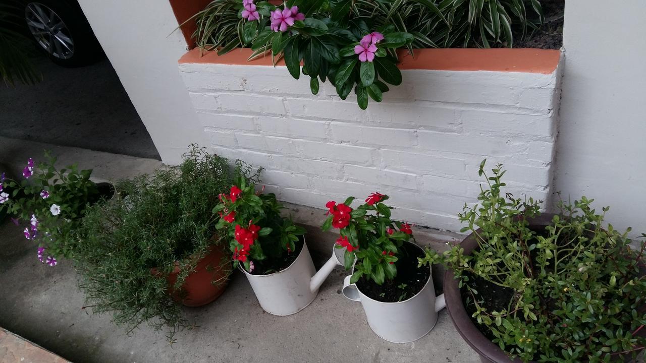 Hotel Casa Marina La Ceiba Luaran gambar